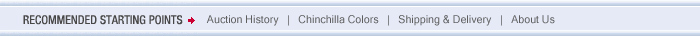 Recommended Starting Points - Featured Auctions - Chinchilla Colors - Shipping and Delivery - About Us