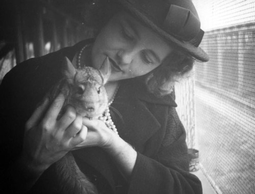 Chapman Chinchilla Farm wife of Herman Schultheis 1937
