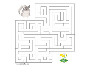 Chinchilla Maze - Help the chinchilla find the dandelion