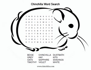 Chinchilla Word Search Puzzle