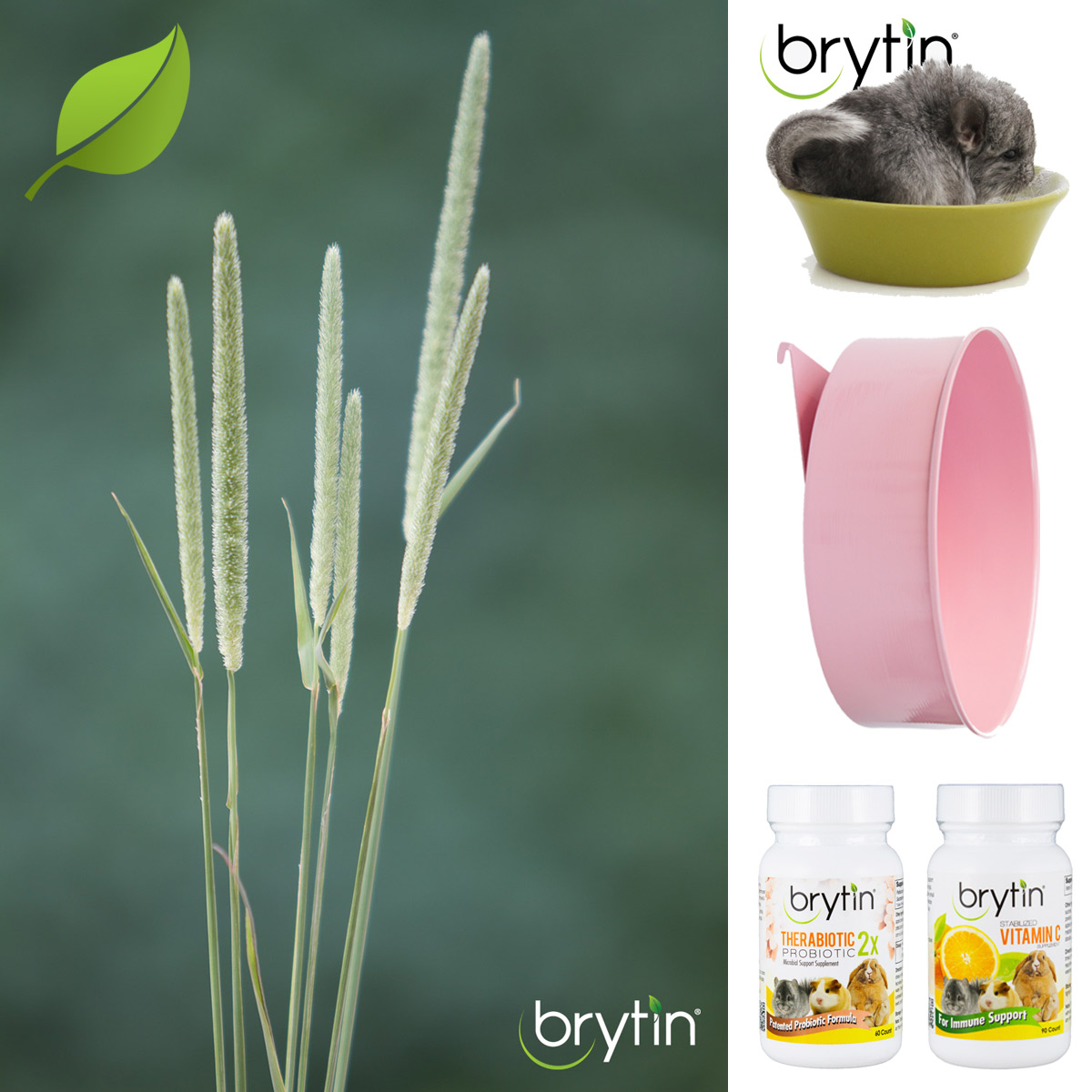 Brytin Products now Available in the US & Asia