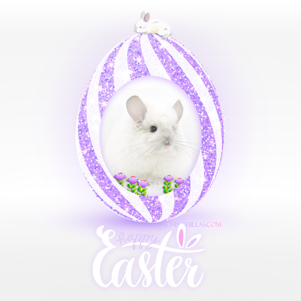 Happy Easter 2024 from Chinchillas.com