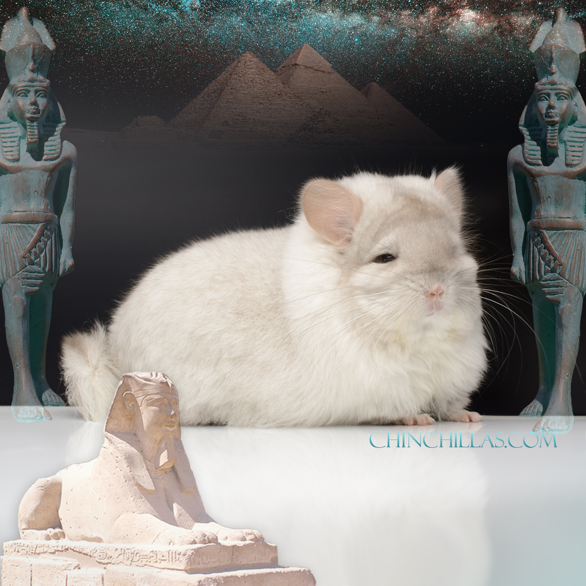 Coming this Winter - A Gift of Parallels 