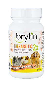 Brytin TheraBiotic 2X Probiotic Supplement -854147007022