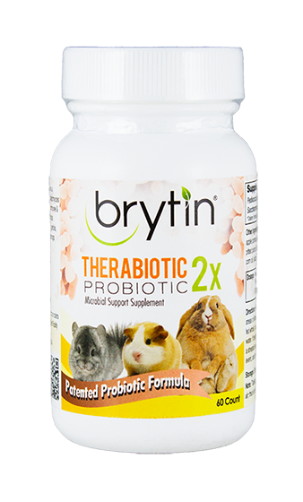 Brytin chinchilla food deals