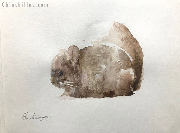 002 Original Watercolor Painting of a Tan Chinchilla