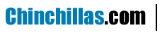 Chinchillas.com